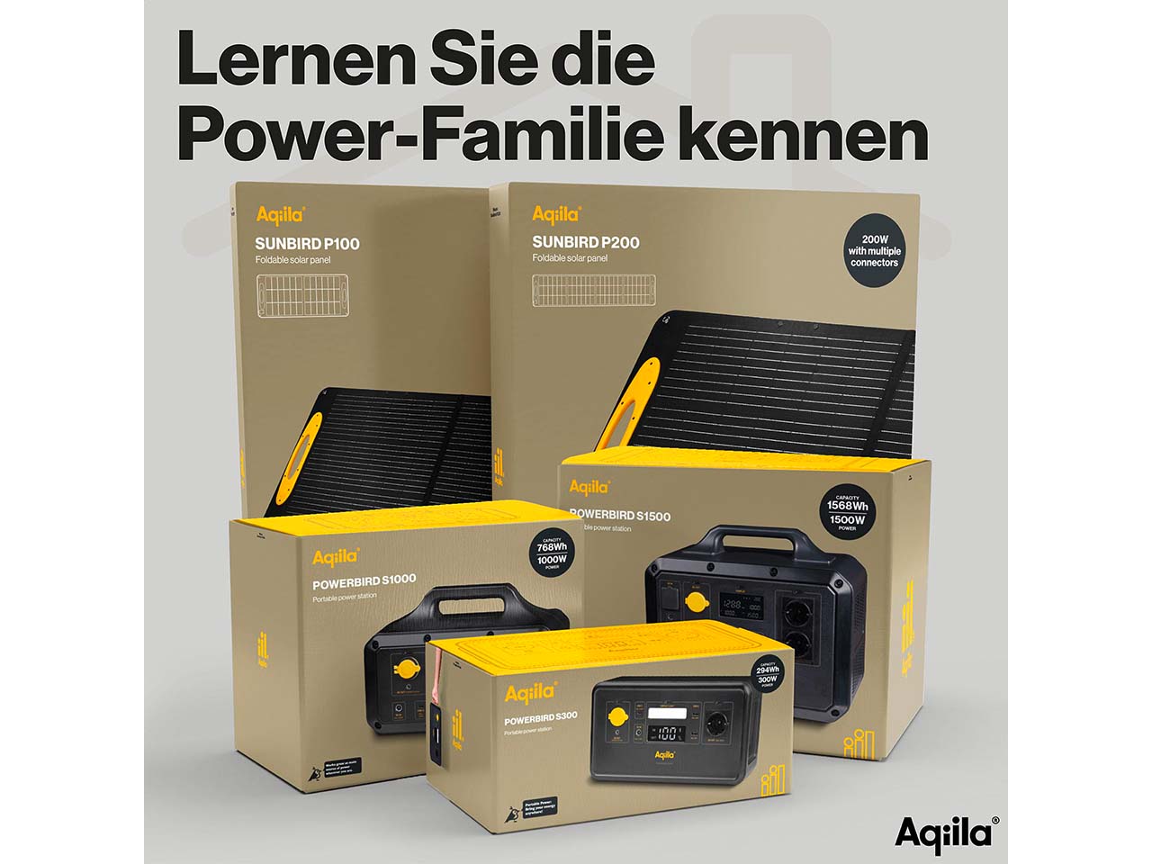 Aqiila tragbares Solarpanel "Sunbird P200" 200W