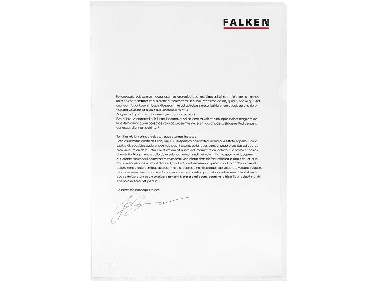 FALKEN Aktensichthüllen genarbt, DIN A4, 120µ, 100 Stk.