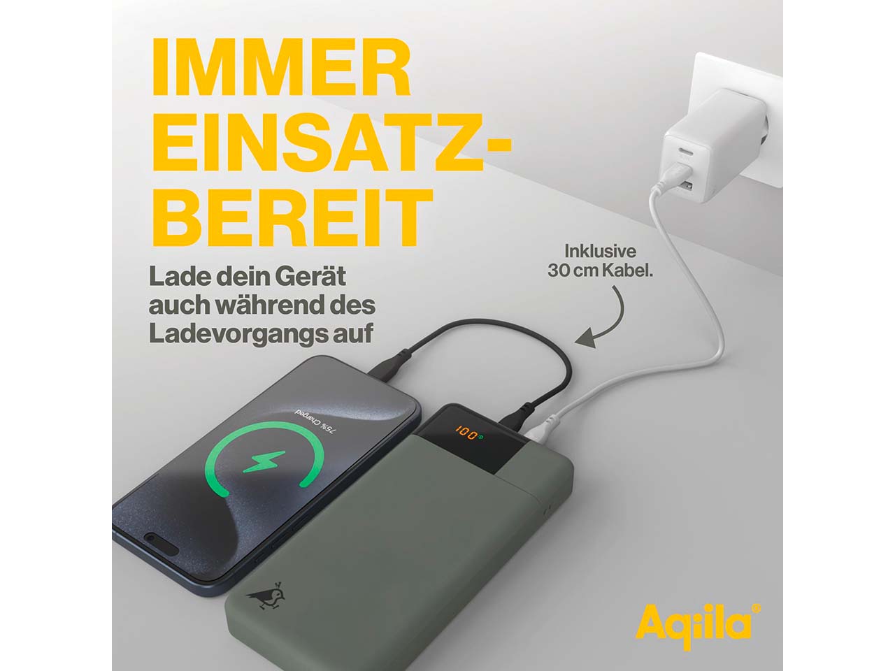 Aqiila Powerbank "Powerbird B20" 20.000 mAh, moosgrün