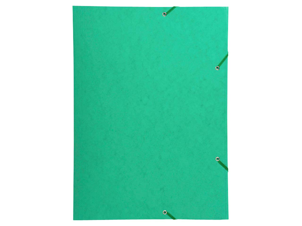 Exacompta Eckspannermappe DIN A3 grün mit Klappen 700g/m²