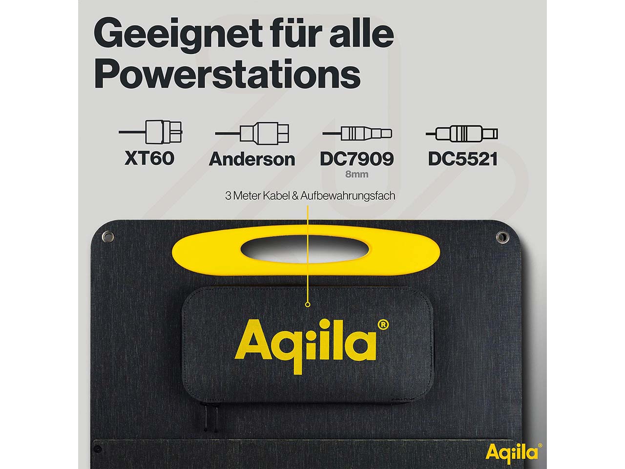 Aqiila tragbares Solarpanel "Sunbird P100" 100W
