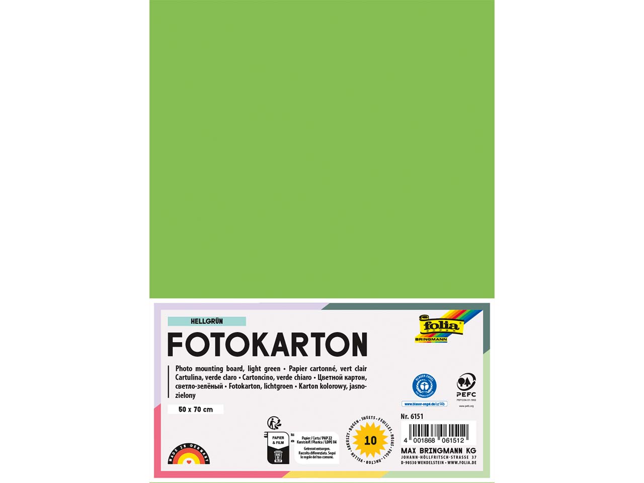 folia Fotokarton, 300 g/m², 50 x 70 cm, 10 Bogen, hellgrün