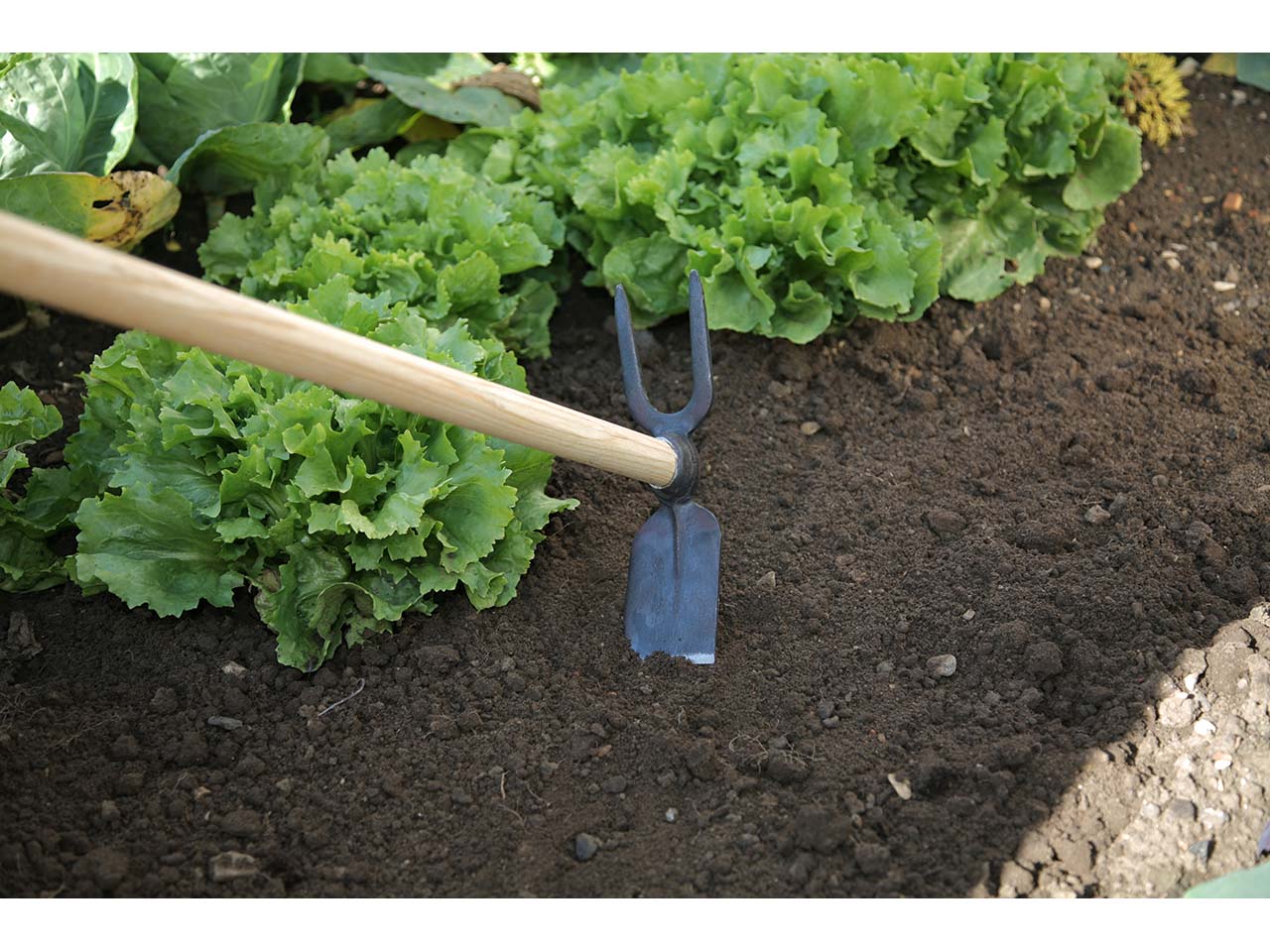 FREUND VICTORIA Gartenhacke mit 2 Zinken 65875