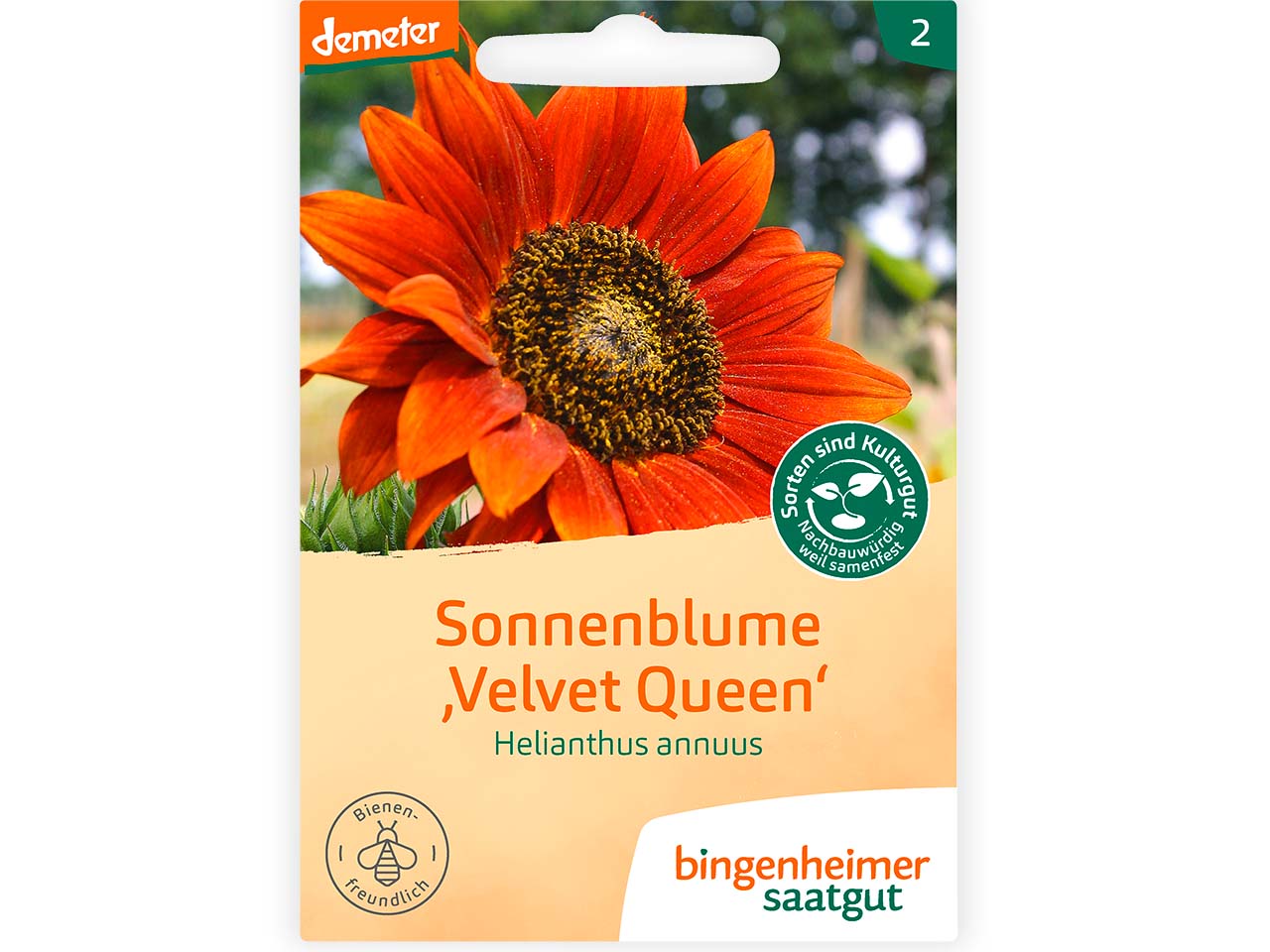 bingenheimer saatgut Bio-Samen Sonnenblume "Velvet Queen", Bienenfreundlich, 1 Stk.