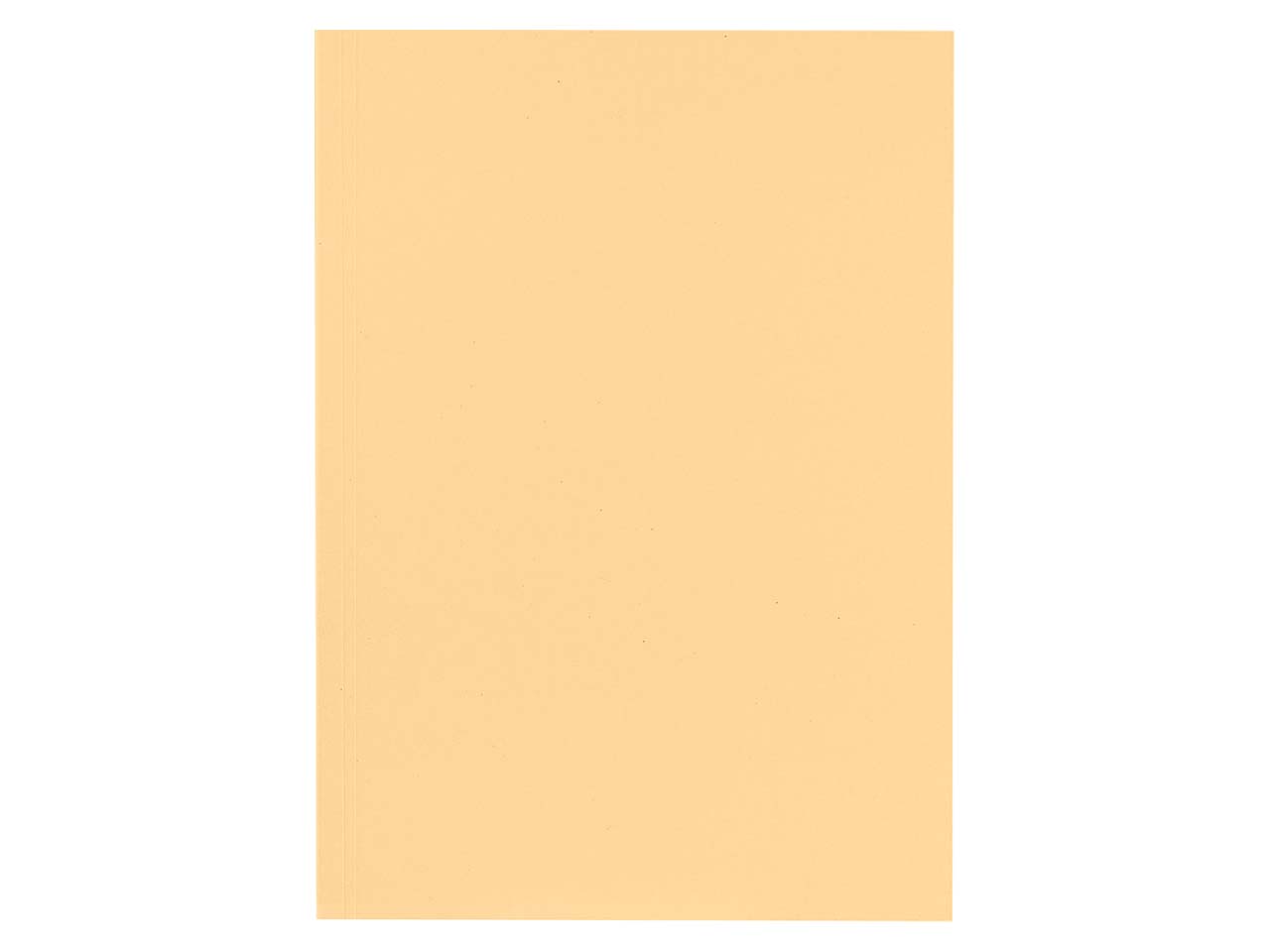 Falken Aktendeckel 250g/m² chamois