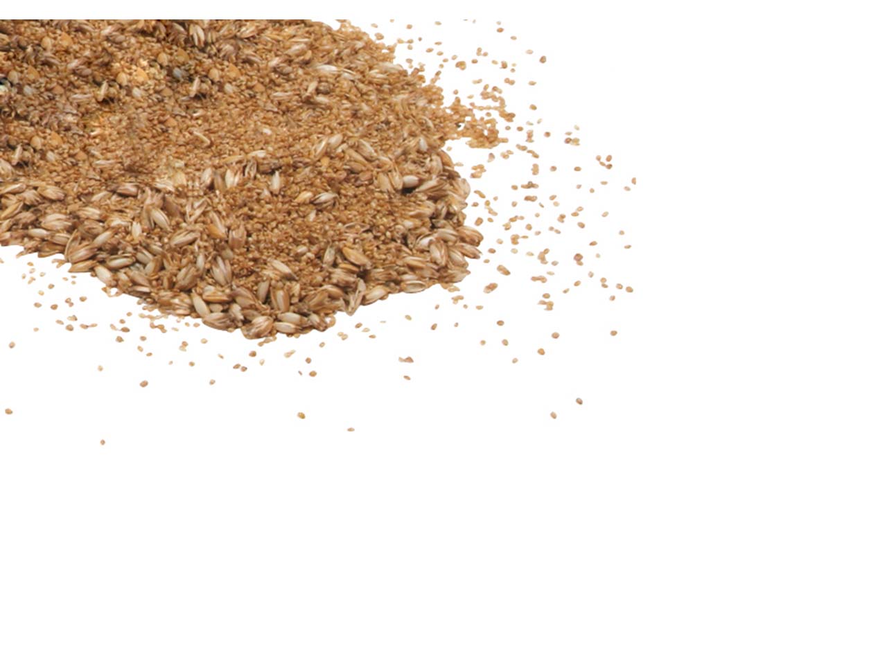 mudis Kissenfüllung mit Hirseschalen/Dinkelspelz 40 x 40 cm