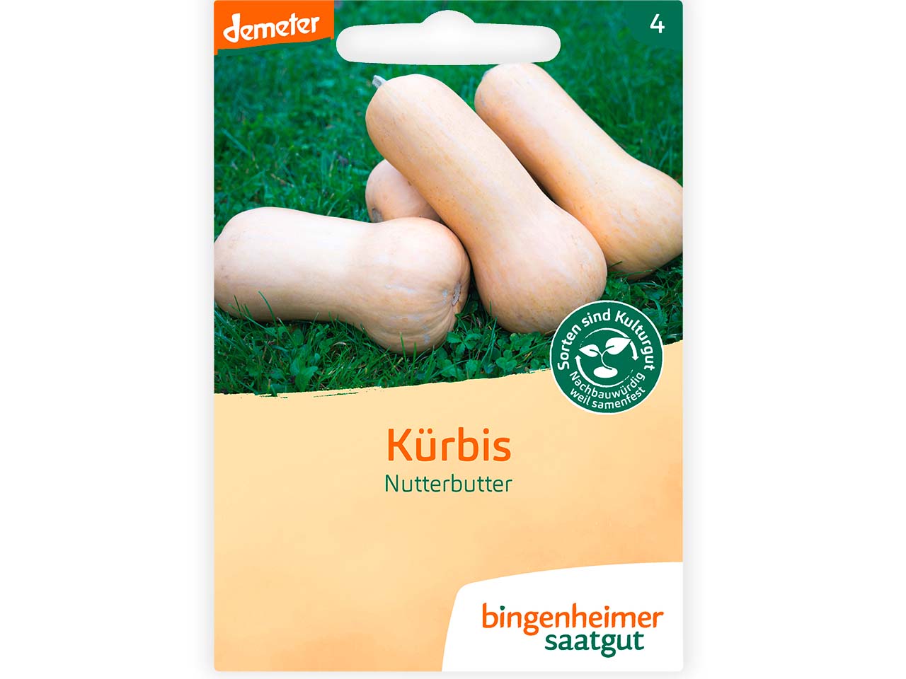 bingenheimer saatgut Bio-Samen Kürbis Butternut "Nutterbutter", 1 Stk.