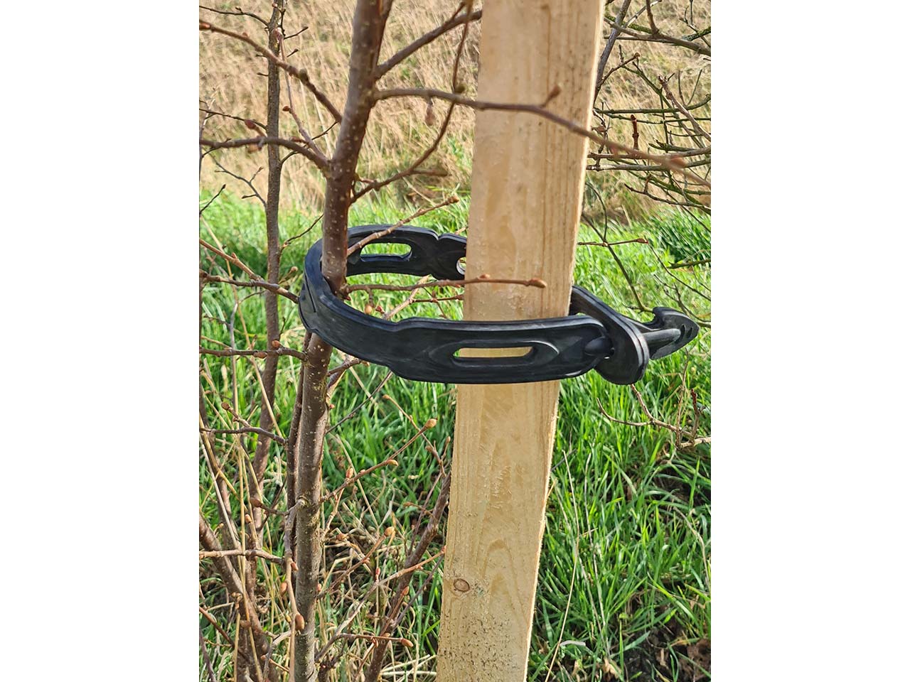 Fair Zone Pflanzen- und Kabelbinder "Eco Maxi" 43 x 3 cm