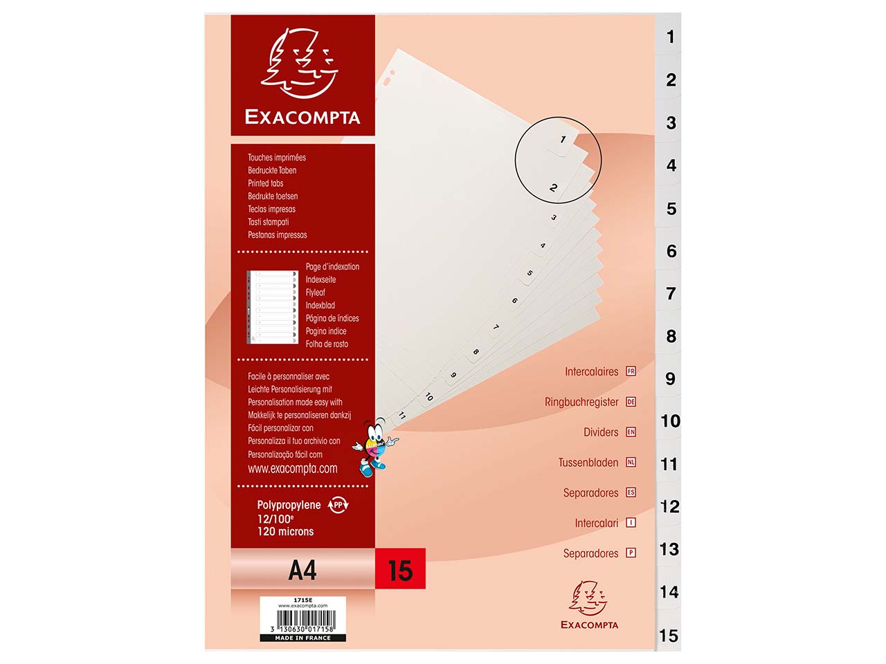 Exacompta Register aus Recyclingkunststoff 15-teilig, DIN A4