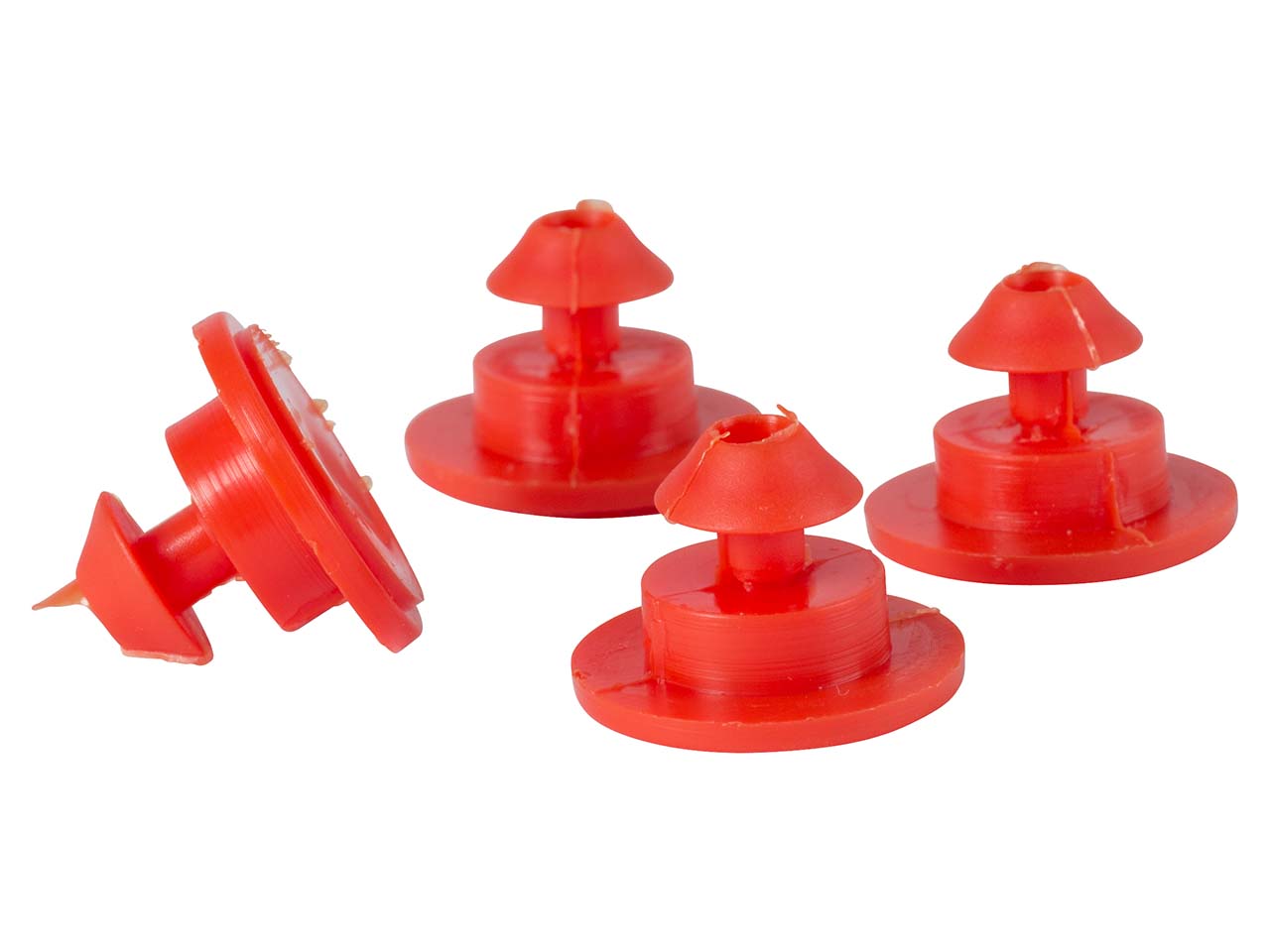 Plombe memoBox M4 neu Farbe rot