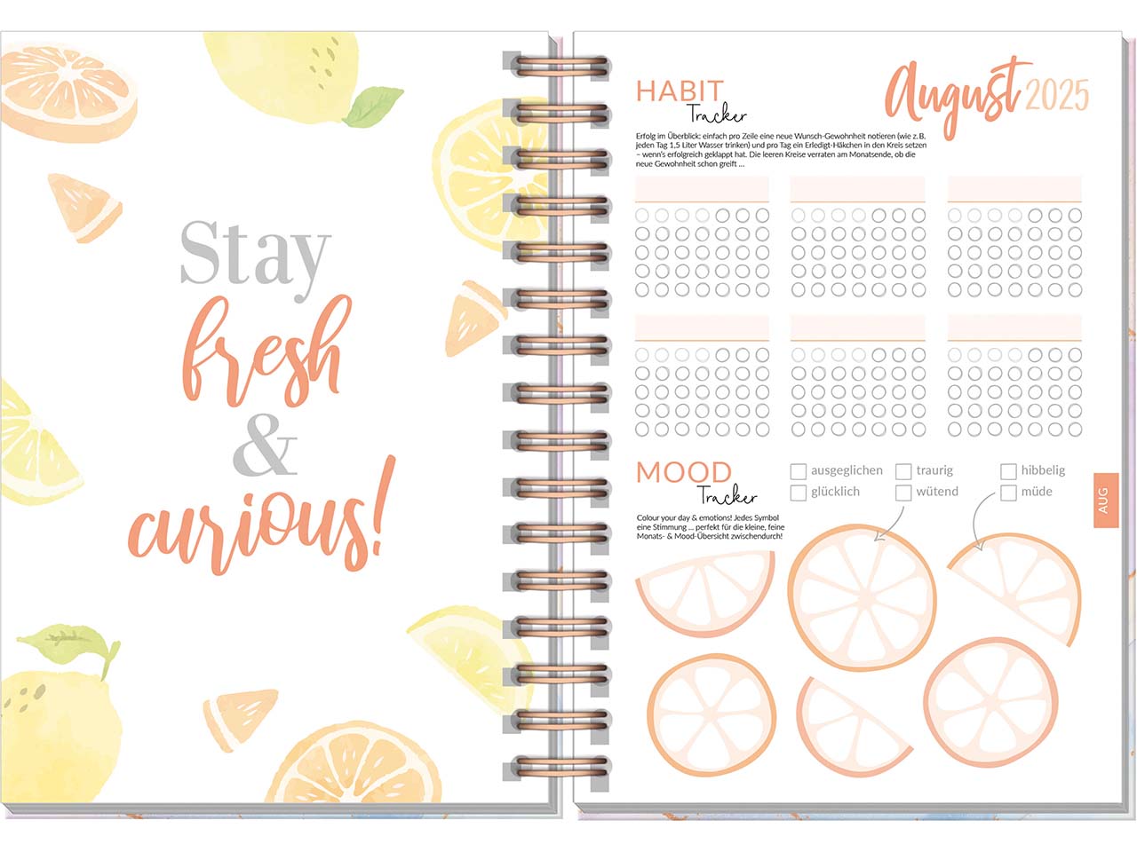 Häfft Schülerkalender "Fancy" Aug 25/Sept 26, DIN A5, bleu & rosé