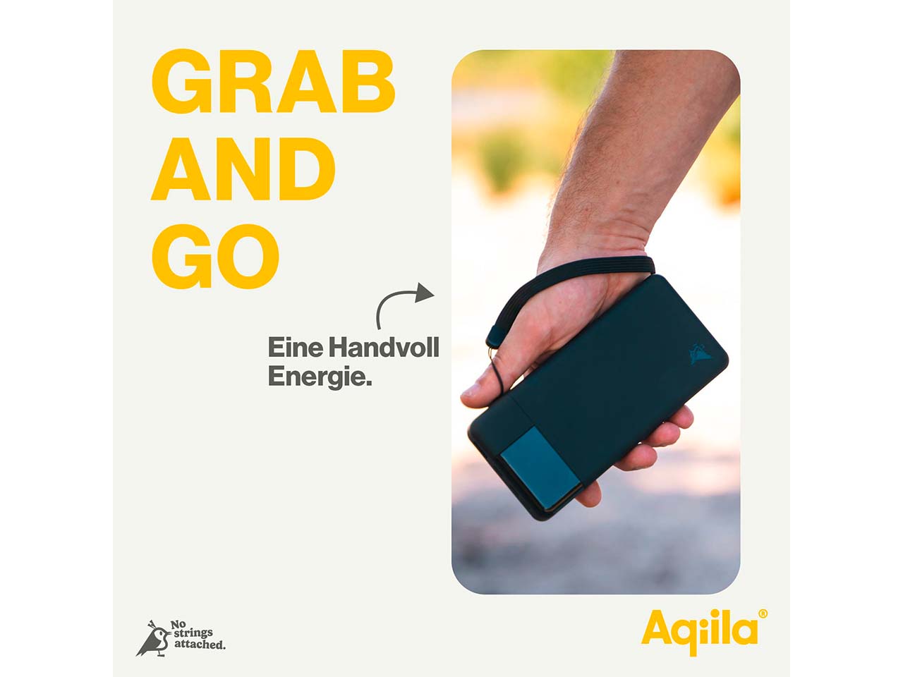 Aqiila Powerbank "Powerbird B20" 20.000 mAh, schwarz