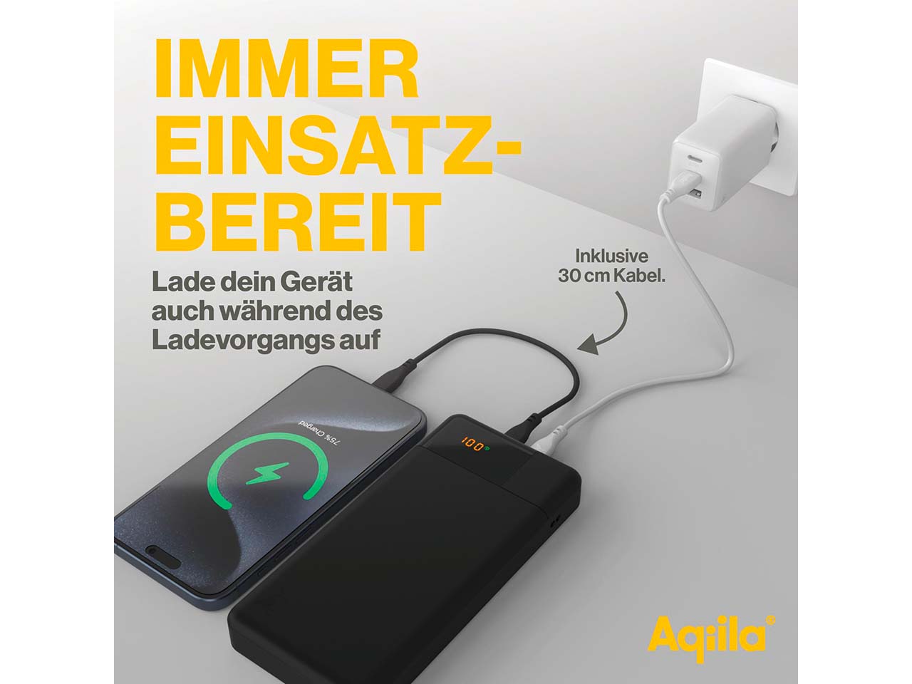 Aqiila Powerbank "Powerbird B20" 20.000 mAh, schwarz