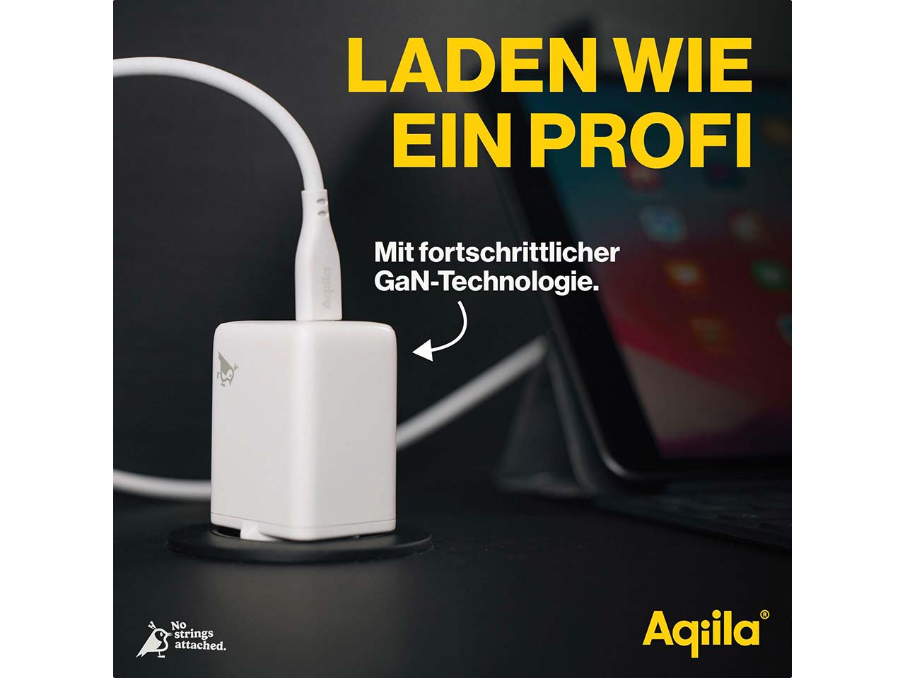 Aqiila USB Ladegerät und Ladeadapter "Chargebird W2"