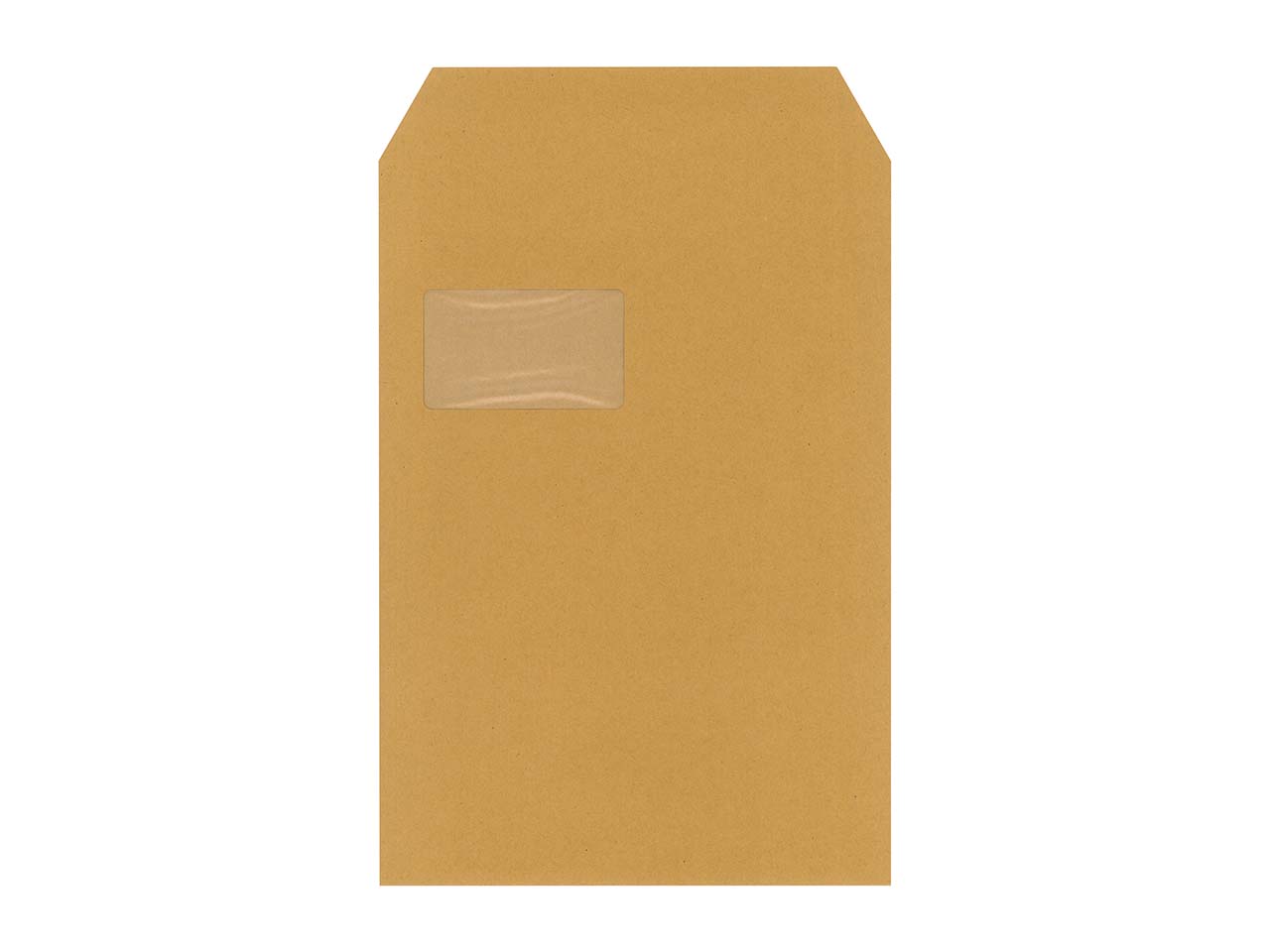 250 C4 Versandt. braun SK m.F. 110g