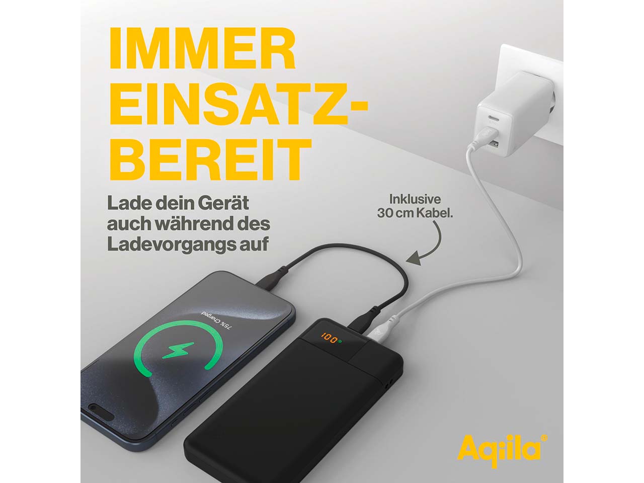 Aqiila Powerbank "Powerbird B10" 10.000 mAh, schwarz