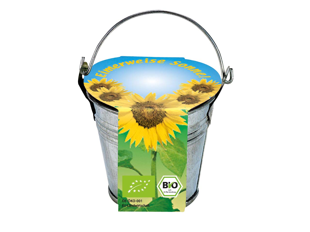 Bio Sonnenblumen im Eimer