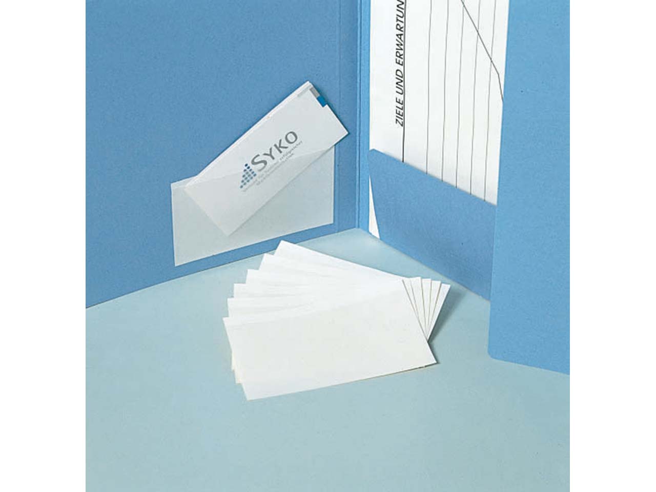 50 Papier-Visitenkarten-Taschen SKL