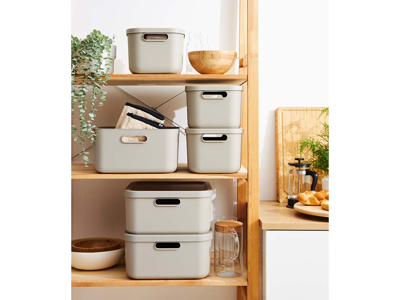 rotho Aufbewahrungsbox 'ALBULA LIGHT' aus Recyclingkunststoff, 20 l, cappuccino