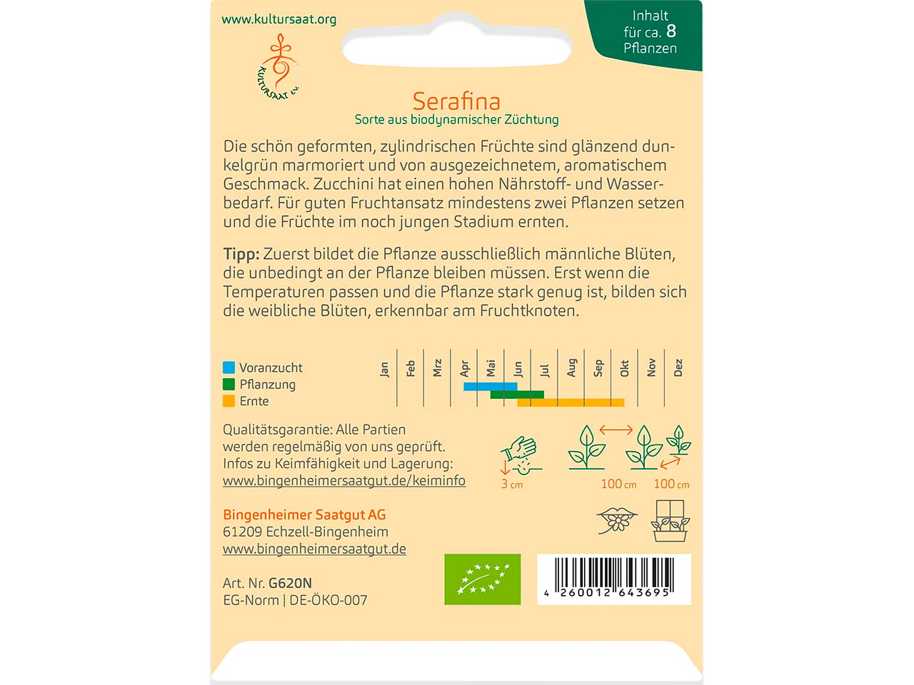bingenheimer saatgut Bio-Samen Zucchini "Serafina", 1 Stk.