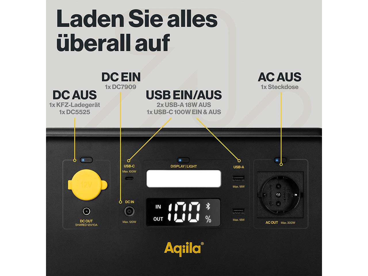 Aqiila Powerstation "Powerbird S300"