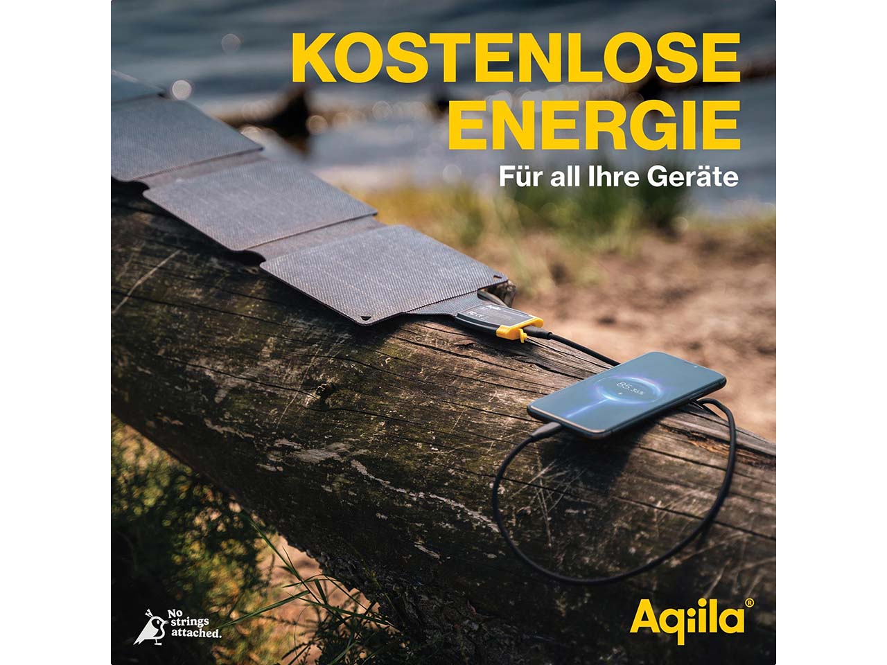 Aqiila tragbares Solarladegerät "Sunbird P21"