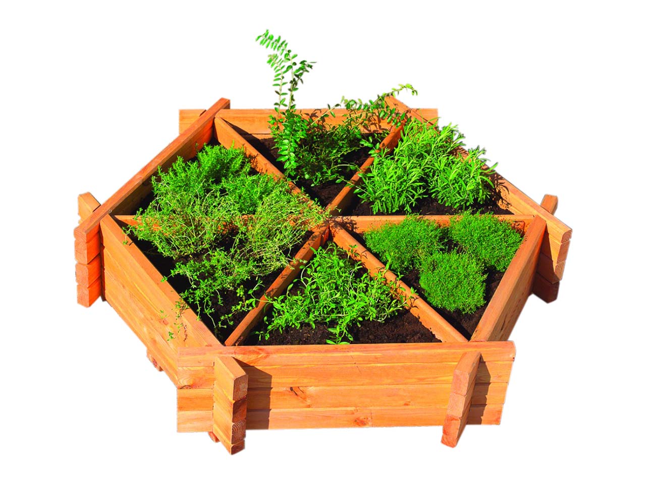 Kräuterbeet "Julia" aus Holz, sechseckig, FSC-zertifiziert, natur