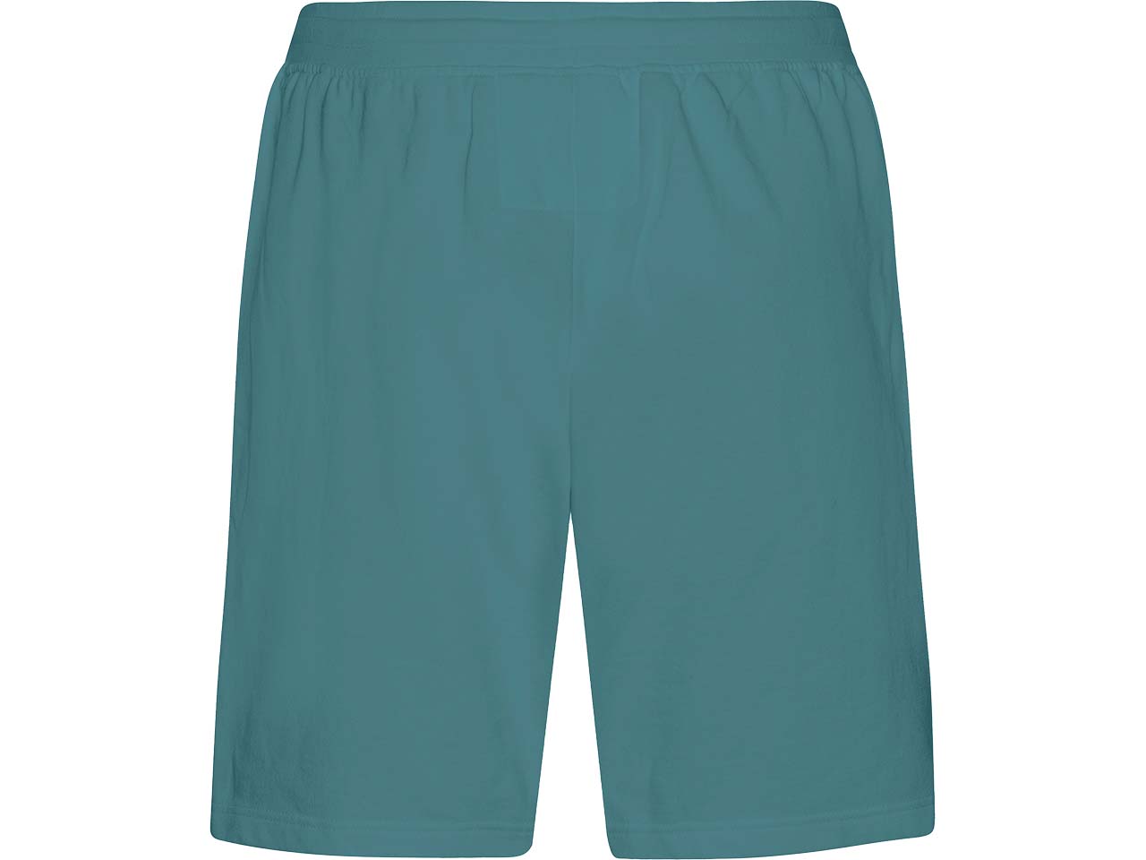 Neutral Bio-Unisex-Sweatshorts "Tiger Cotton", teal, Gr. XS