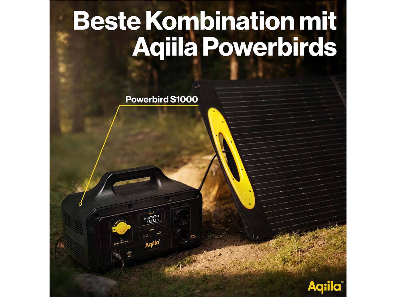 Aqiila tragbares Solarpanel "Sunbird P100" 100W