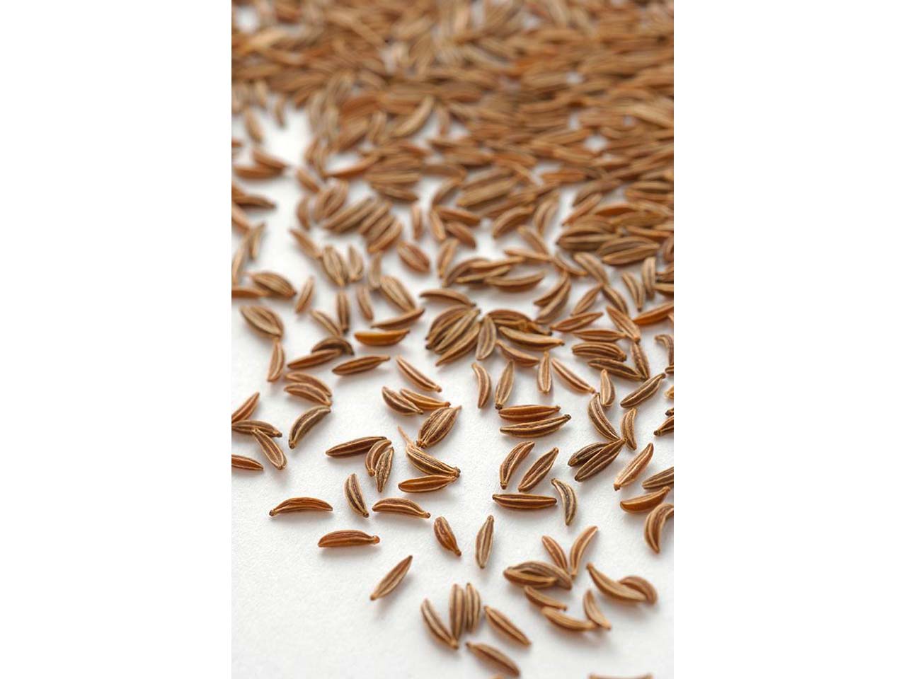 LEBENSBAUM Bio-Kümmel, ganz, 50 g