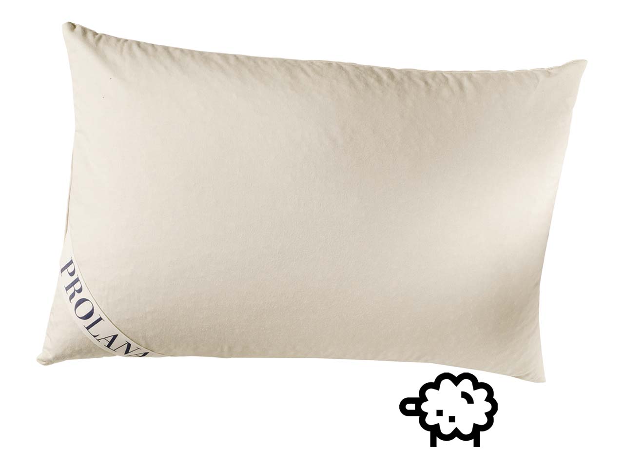 Prolana Schurwoll-Kissen 40x60cm J. 500g SSW-Kügel.