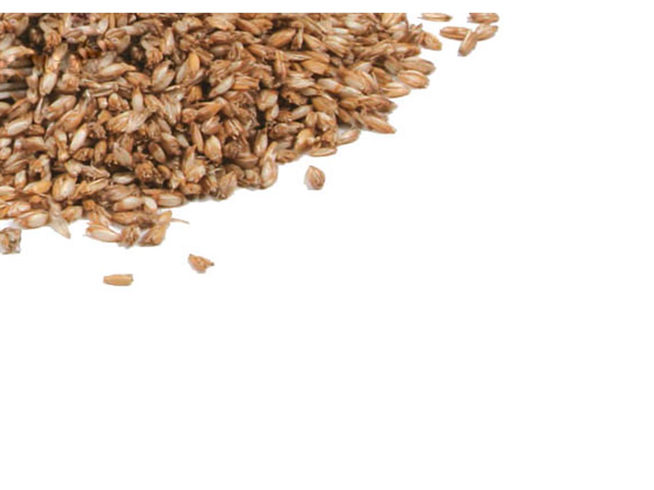 mudis Kissenfüllung mit Dinkelspelz 40 x 60 cm