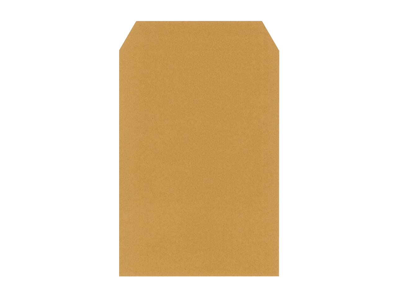 25 C4 Versandt. braun SK 90g