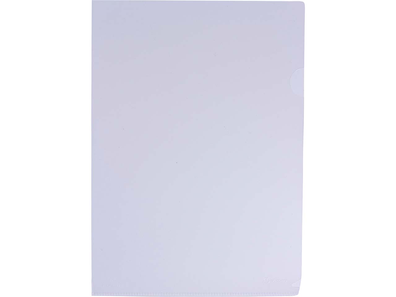 100 Exacompta Sichthüllen "Forever" Recycling-PP, DIN A4, 120µ, genarbt