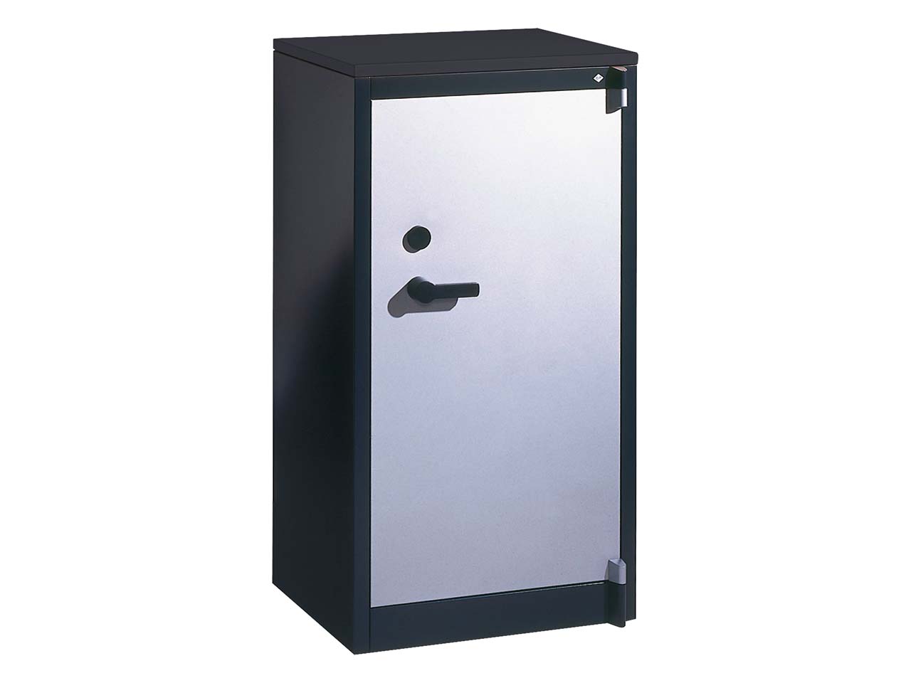 Feuergeschützte Flügeltürenschrank anthrazit/alusilber B 65 cm, H 122,6 cm