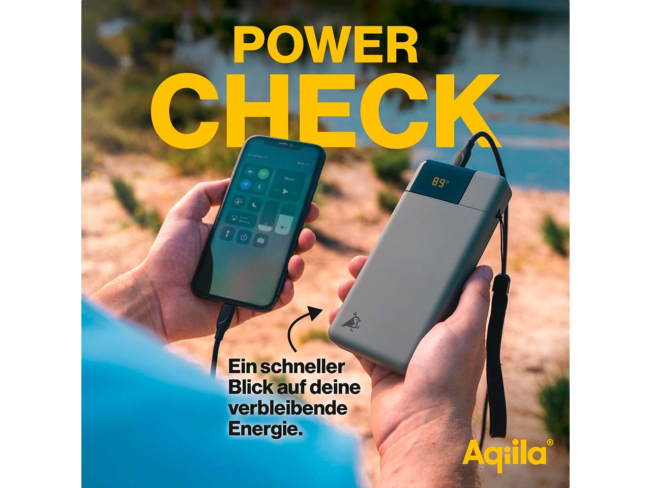 Aqiila Powerbank "Powerbird B20" 20.000 mAh, moosgrün