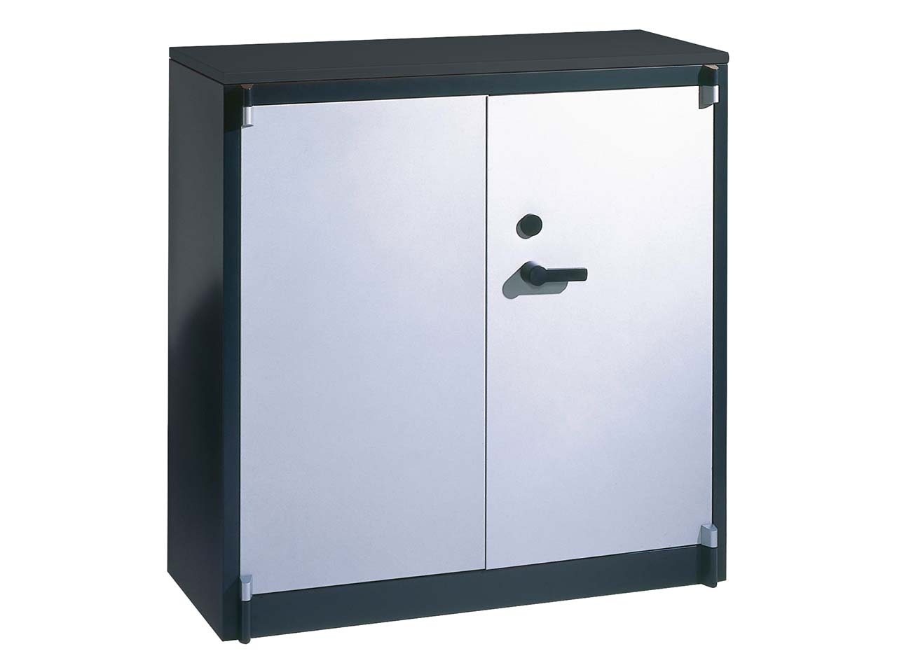 Feuergeschützte Flügeltürenschrank anthrazit/alusilber B 93 cm, H 122,6 cm