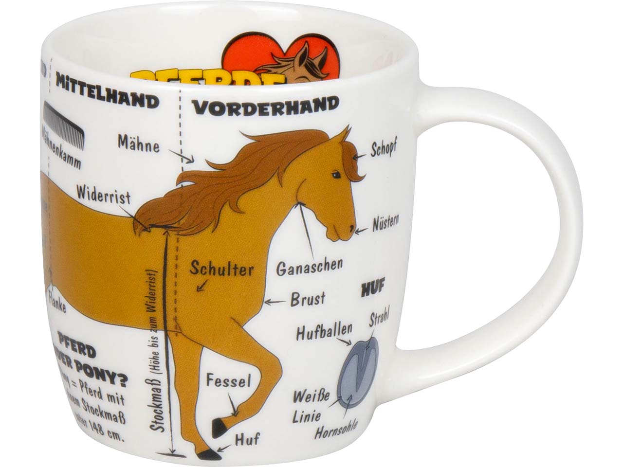 Könitz Kinder-Tasse "Kid´s Wissen Pferde" 230 ml aus Porzellan