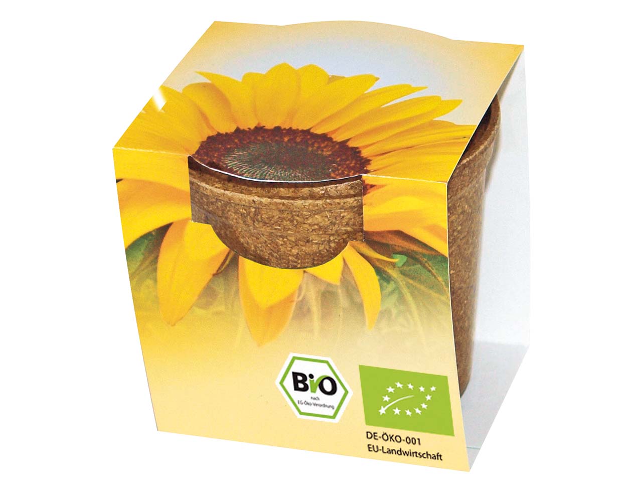Bio Sonnenblumen im Easy Wachstumstopf