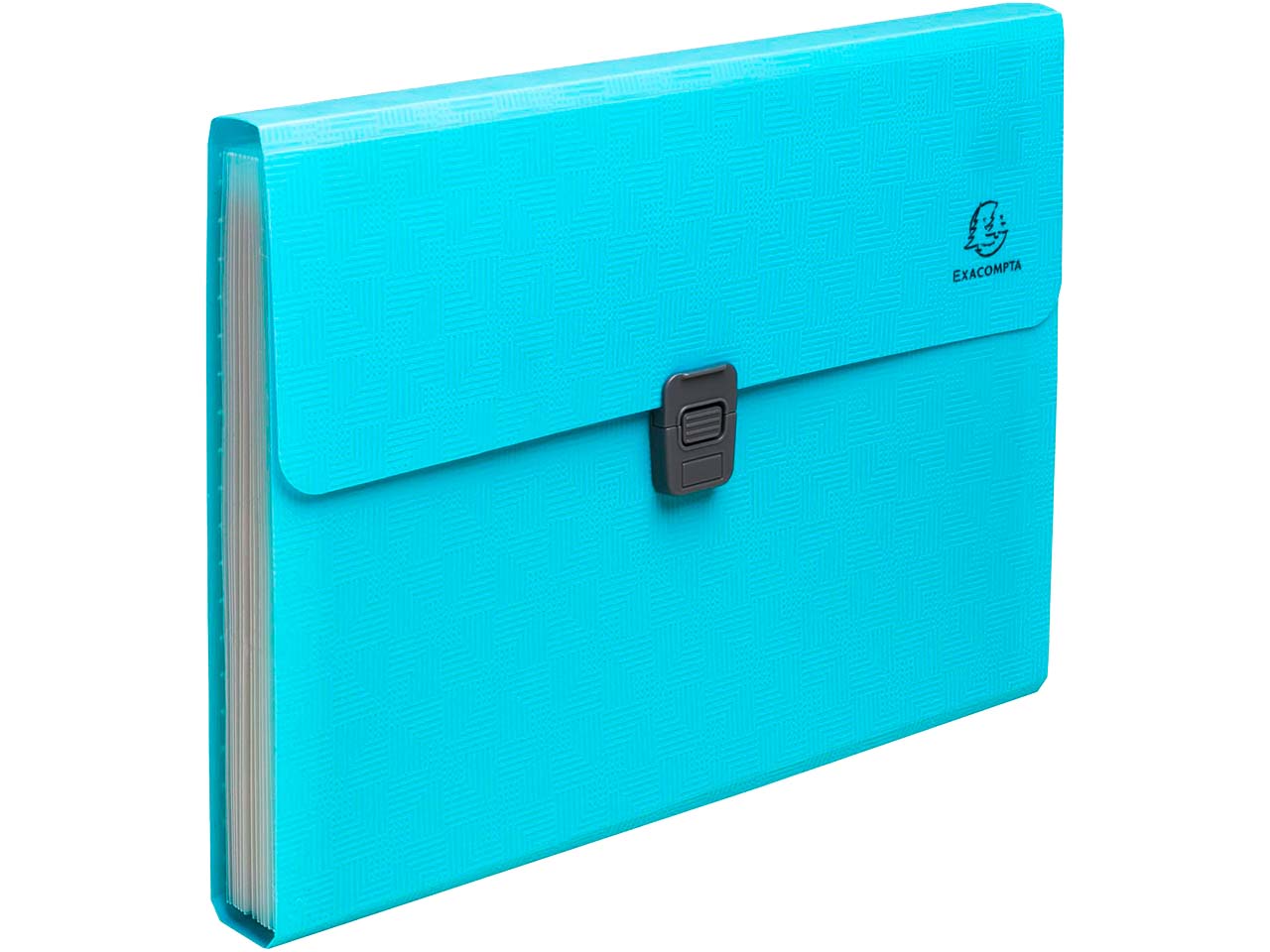 Exacompta Fächermappe 25 x 33 cm "Pop'N Co" 13 Fächer, Recycling-PP, DIN A4, cyan