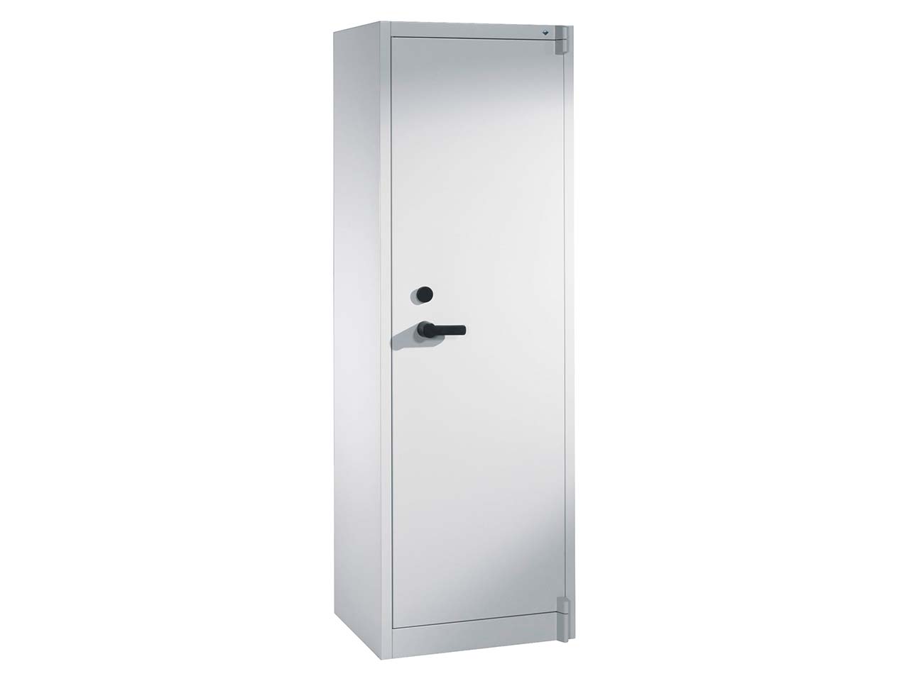 Feuergeschützte Flügeltürenschrank lichtgrau B 65 cm, H 195 cm