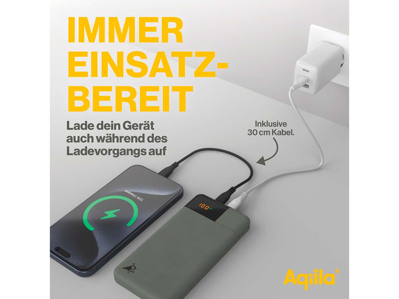 Aqiila Powerbank "Powerbird B10" 10.000 mAh, moosgrün