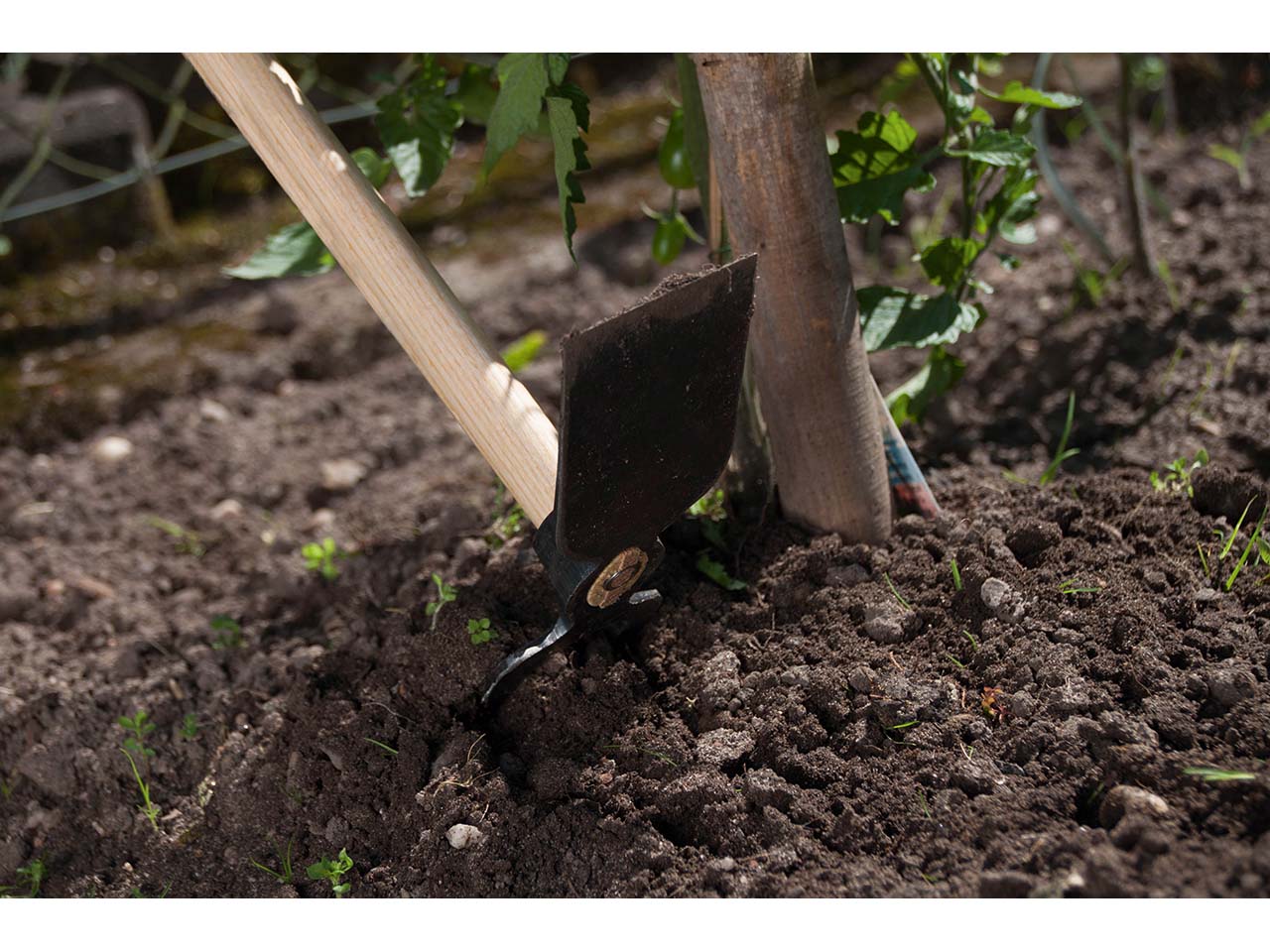 FREUND VICTORIA Gartenhacke mit 2 Zinken 65875