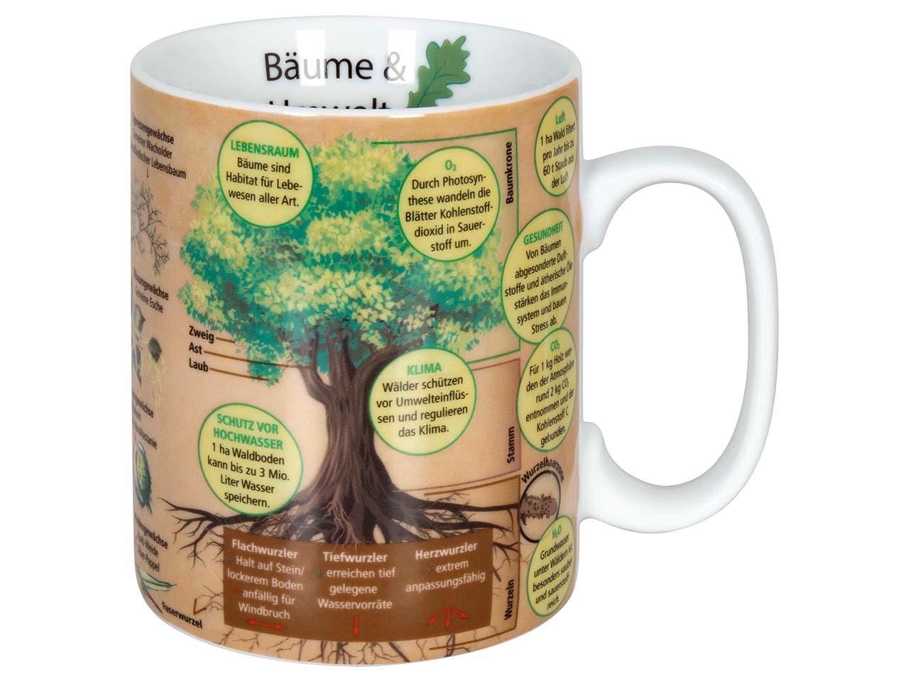 Könitz Tasse "Wissensbecher Bäume"